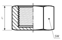 Croquis - TAPÃ“N HEMBRA